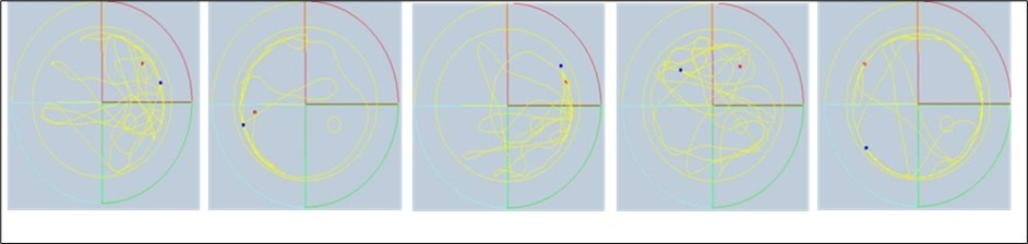 Activity trajectory diagram of mice in space exploration experiments
