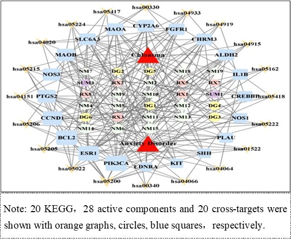 “CEO- components- targets- pathways - anxiety with melasma” network