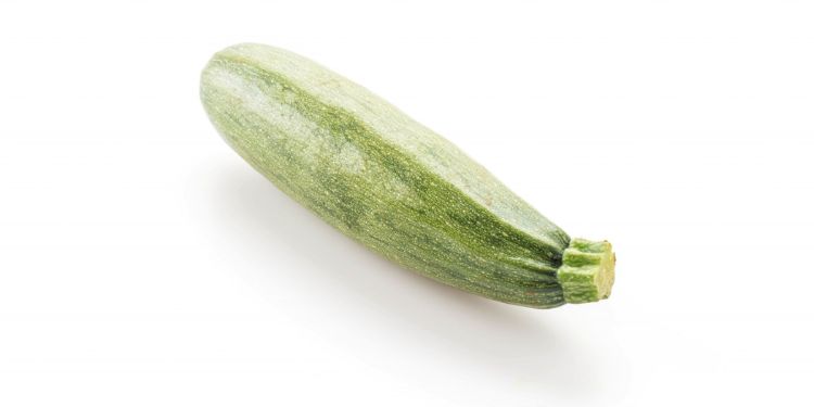 Journal of Farming - green zucchini
